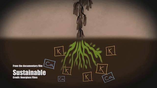 AEA Plant Sap Analysis - Explainer Video