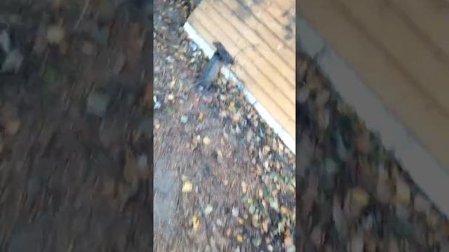 Строительство шалаша!!! смотреть онлайн