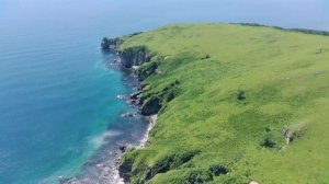 Приморский край. Полуостров Краббе 07.2024г