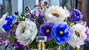 С Днем Рождения, родная племянница! Пусть каждый день будет ярким и счастливым! 🥳💐