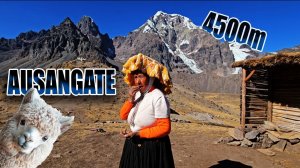 МЫСЛИ НА ВЫСОТЕ 4500 Ausangate ПЕРУ