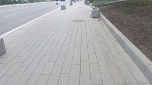 Немного потопчем одуванчики., ничего страшного. Цветёт вишня 🍒. Побольше позитива с классной музыки