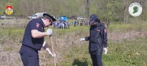 "Сад Памяти" РСО-Алания