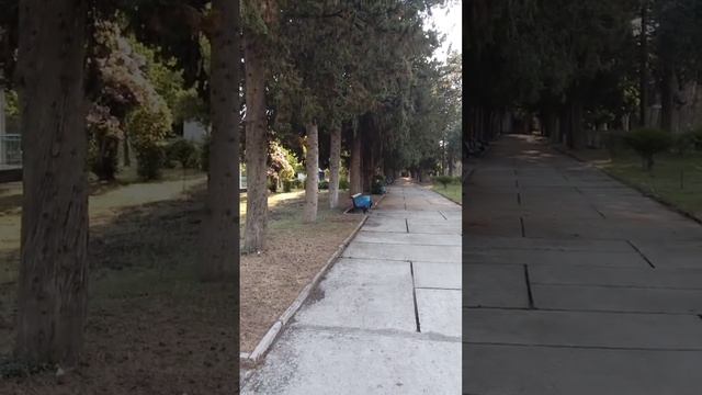 Дом отдыха Псоу Абхазия Цандрипш обзор территории смотреть онлайн