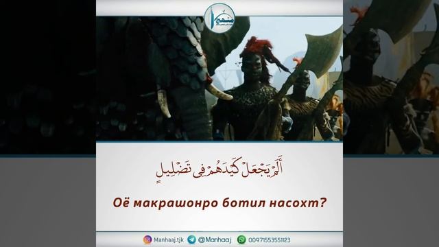 Асҳоби Фил. #shorts смотреть онлайн