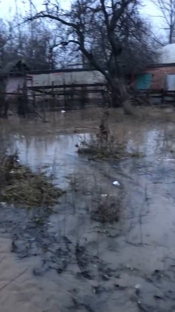 Потоки воды возле 37 школы смотреть онлайн