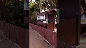 VID 20221117 100528  Пляж Камала, Пхукет, ноябрь 2022г.