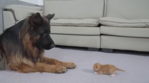 Первая встреча..:)