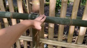 Преобразили ОГРОМНЫЙ УЧАСТОК земли возле кафе. ПОСТРОИЛИ забор. Завели рыб в пруд. Филиппины.