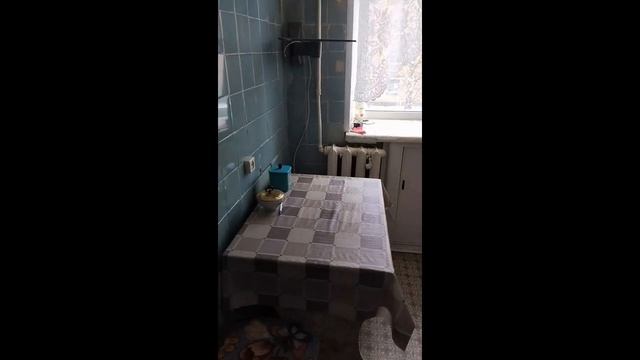 Выбираем квартиру в пгт Нижни Одес Часть вторая смотреть онлайн