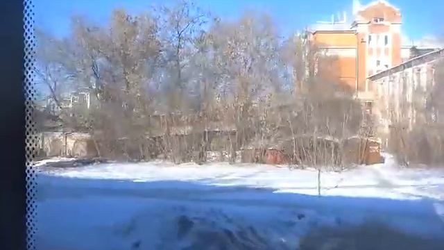 ул Маяковского, 18.02.2015 /Рязань/