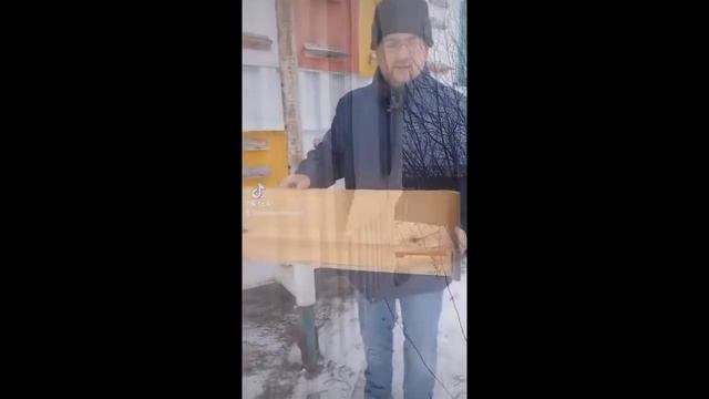 Павильон  для пчел из контейнера смотреть онлайн