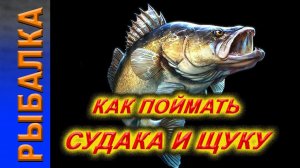 Ловим Щуку и Судака. Рыбалка на реке Обь