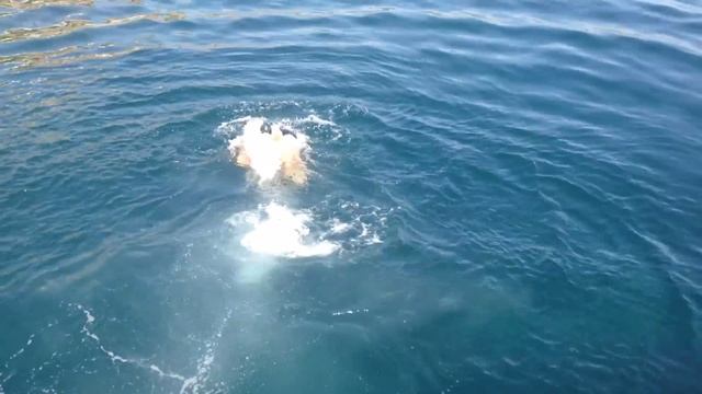 Партенит 27 Сентября 2015 смотреть онлайн