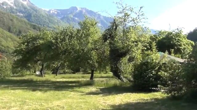 Спокойные, сборы Часть первая 12 19 июля Сочи Красная Поляна смотреть онлайн