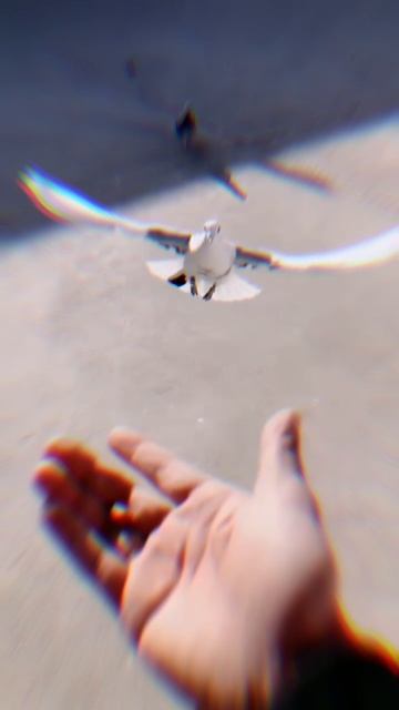 Время мечтать