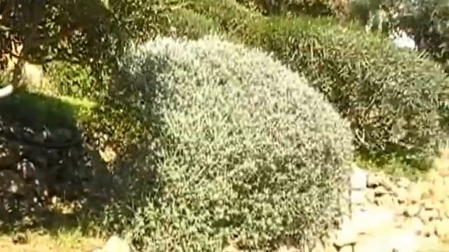 Испания.Часные апартаменты с бассейном смотреть онлайн