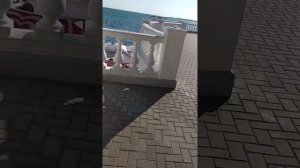 Пляж и территория пансионата "Кавказ" Геленджик