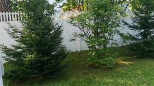 Санаторий магистраль. Красноярск 2024г