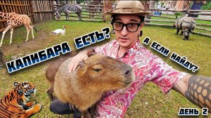 КАПИБАРА ЭТО ЛЮБОВЬ. ОСТРОВ РАЗВЛЕЧЕНИЙ ВИНПЕРЛ. день 2
