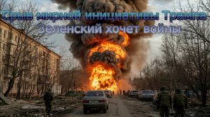 Новости СВО Сегодня-срыв мирной инициативы Трампа. Зеленский хочет войны.