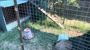 Экскурсия по пансионату Айтар. Лето 2024. Абхазия. Сухум.