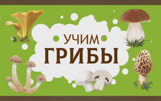Карточки Домана. Грибы. Глобальное чтение. Учимся говорить.