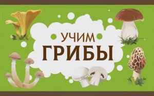Карточки Домана. Грибы. Глобальное чтение. Учимся говорить.