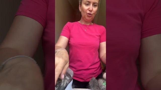 25 июня 2024 г. смотреть онлайн