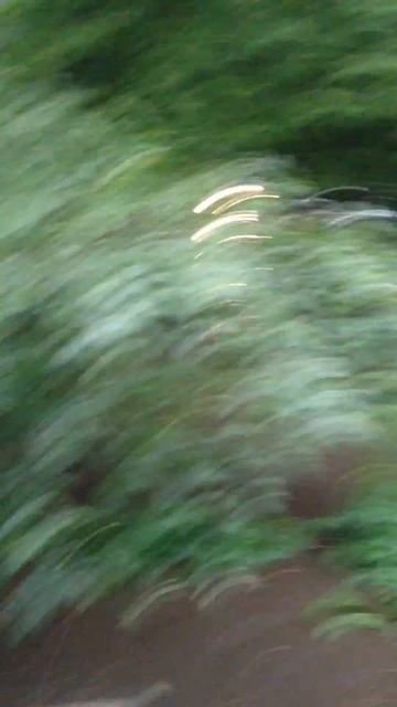 вот такое благолепие происходит на Выхино в Москве раз в год. Приезжайте купаться ребята смотреть онлайн