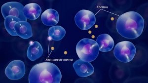 🔮 Как выглядит квантовый мир? И вообще — можно ли его "увидеть"?