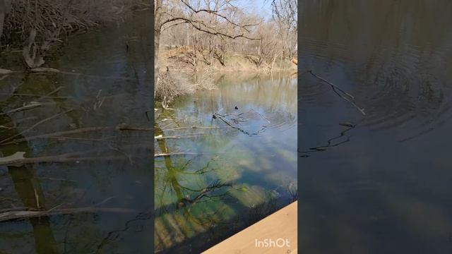 Мухина балка. Ищите нас в телеграмме. смотреть онлайн