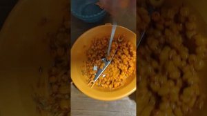 Механическая протирка для овощей, фруктов и ягод в работе. Не реклама! Показываем по просьбе.