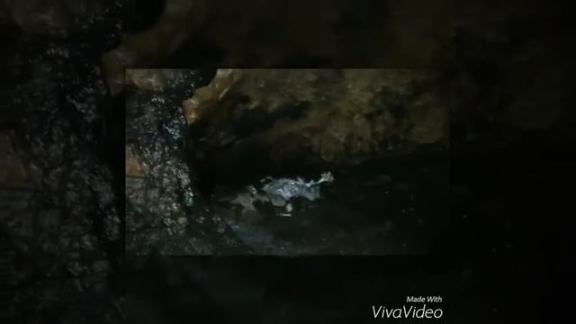 Поездка в Каркаралинск|Экстрим смотреть онлайн