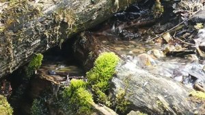 вечерний релакс