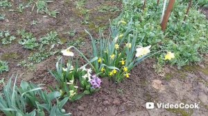Наши 8,4 сотки🏡Покупка на наш участок 🌳удобряю клубнику🍓Проверяю что взошло в теплице.