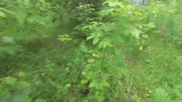 Снайпер в гилли игра Госпереворот Полигон Сокол