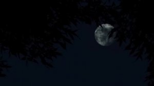 Мистические истории Ирины Шведской.