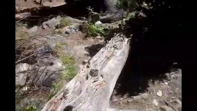 Влог из Архыза с моей подругой