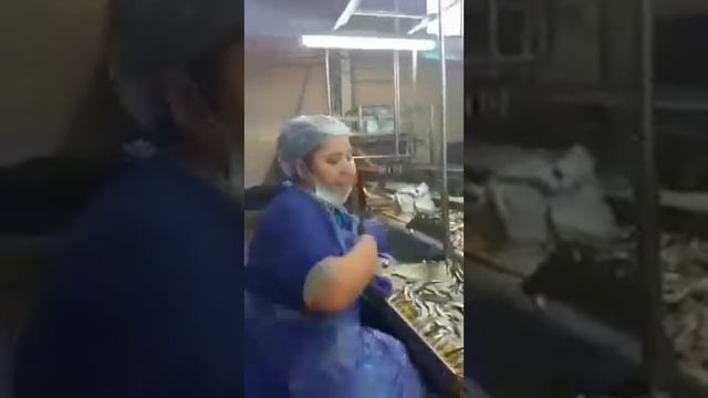 РОССИЯ ФЕДЕРАЦИЯСИНИНГ КАЛИНИНГРАД ШАХРИДАГИ БАЛИК ФАБРИКАСИ смотреть онлайн