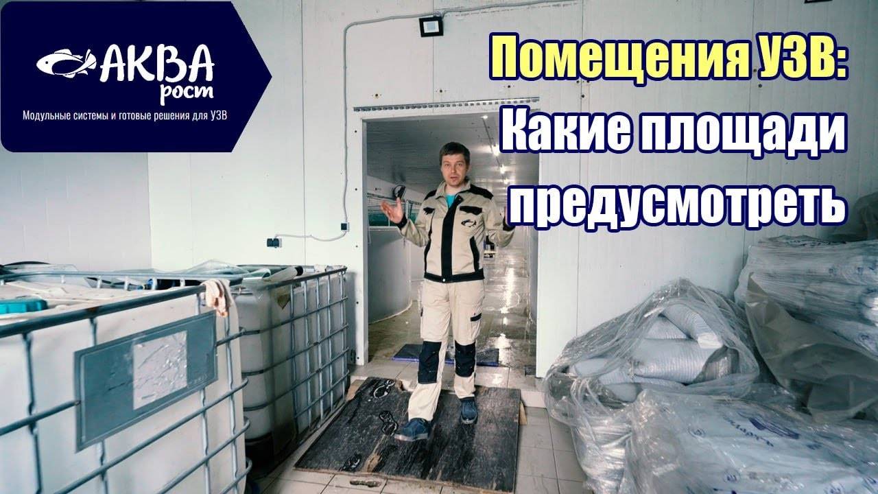 Какие помещения необходимы в УЗВ #система #узв #рыба #акварост #бизнесвдеревне смотреть онлайн