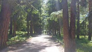 Таруса и музей-заповедник художника В.Д. Поленова. Путешествие в выходные.