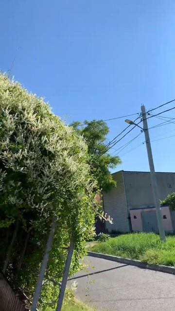 Беседки для отдыха в Анапе! Ул. Тургенева смотреть онлайн