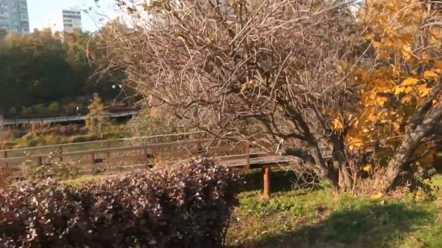 Этнографическая деревня Бибирево смотреть онлайн