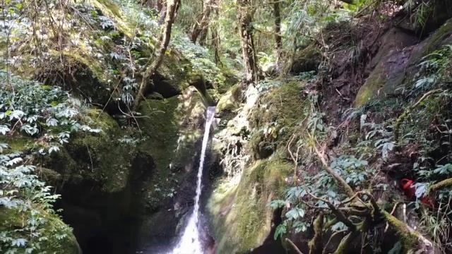 НЕПАЛ, ТРЕК МАРДИ ХИМАЛ // День 3, спуск смотреть онлайн