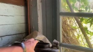 п. Березовая / Балахтинский район / ЗАБРОШЕННАЯ МЕСТНОСТЬ В КОТОРОЙ ОСТАЛОСЬ 5 человек! Часть 1