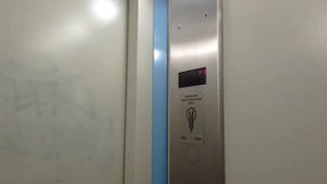 Лифт ЩЛЗ @ г. Ярославль, ТЦ Спутник (83)