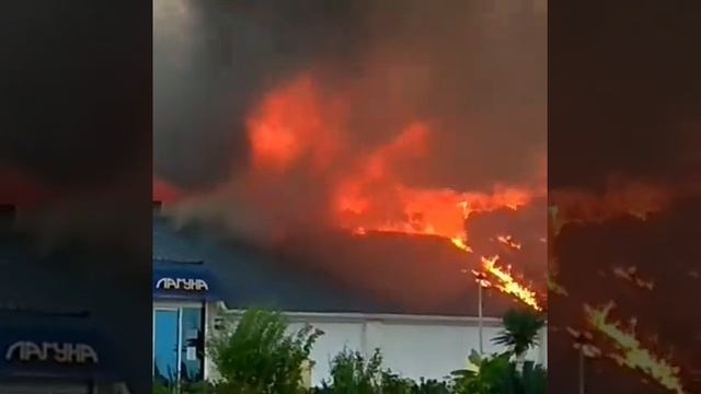 Сочи пос. Догомыс, горит кофе Лагуна. смотреть онлайн