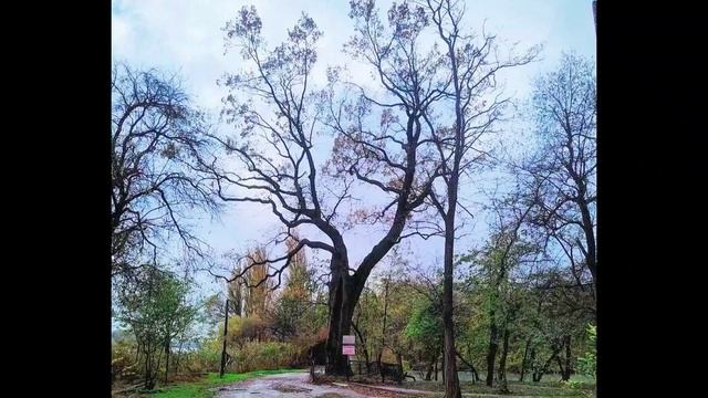 Солнечный парк, Краснодар