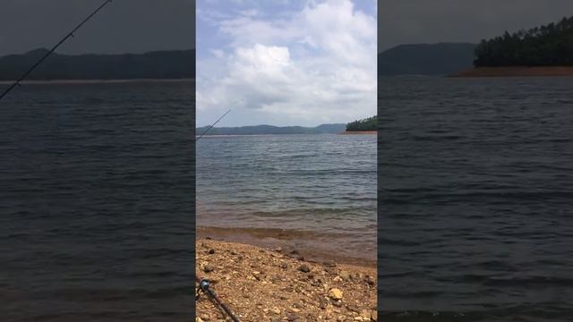 Khu du lịch hồ phú ninh смотреть онлайн